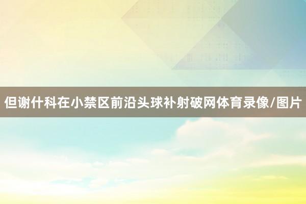 但谢什科在小禁区前沿头球补射破网体育录像/图片