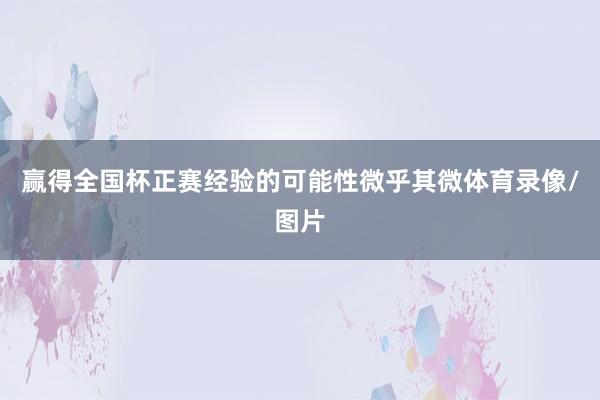 赢得全国杯正赛经验的可能性微乎其微体育录像/图片