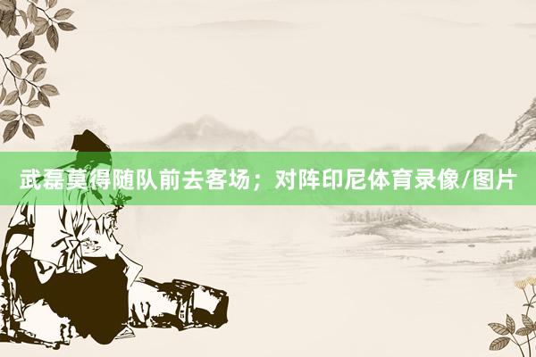 武磊莫得随队前去客场；对阵印尼体育录像/图片